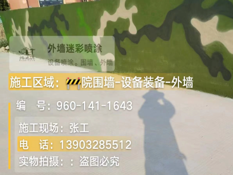 台州 迷彩漆喷涂价格(按平方米计费)