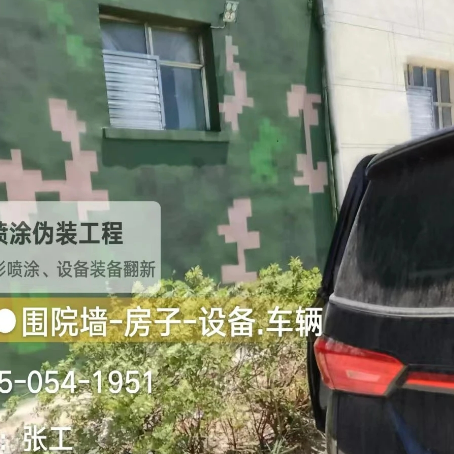 台州数码迷彩漆施工